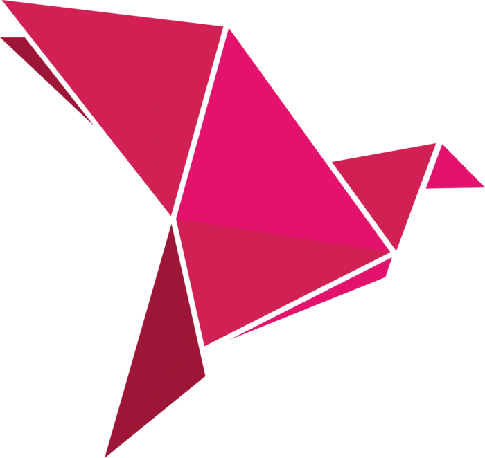 Bkash logo